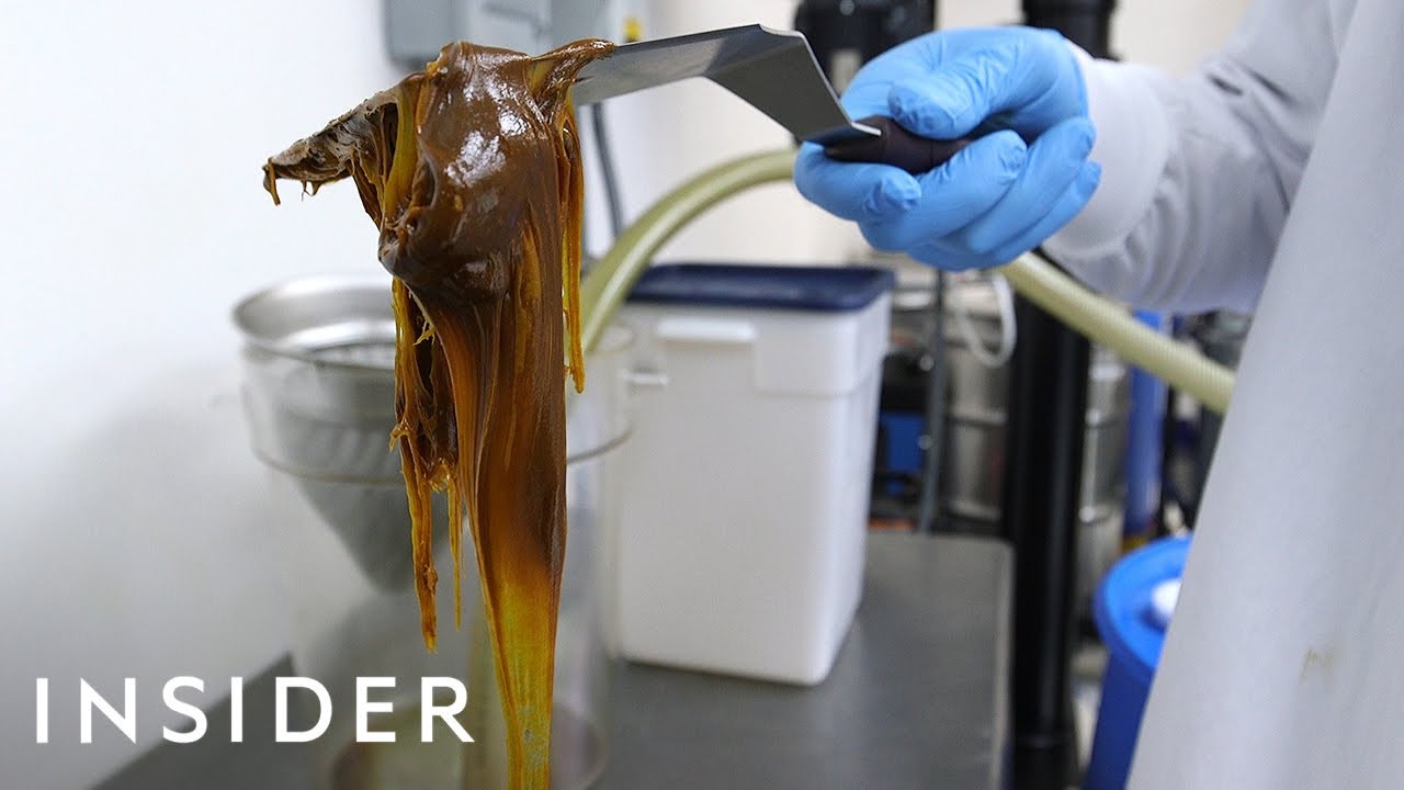 How CBD Oil Is Made