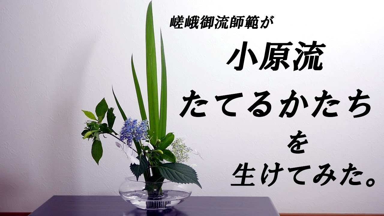 【生け花】小原流・たてるかたちを生けてみた！基本の盛花【ikebana】