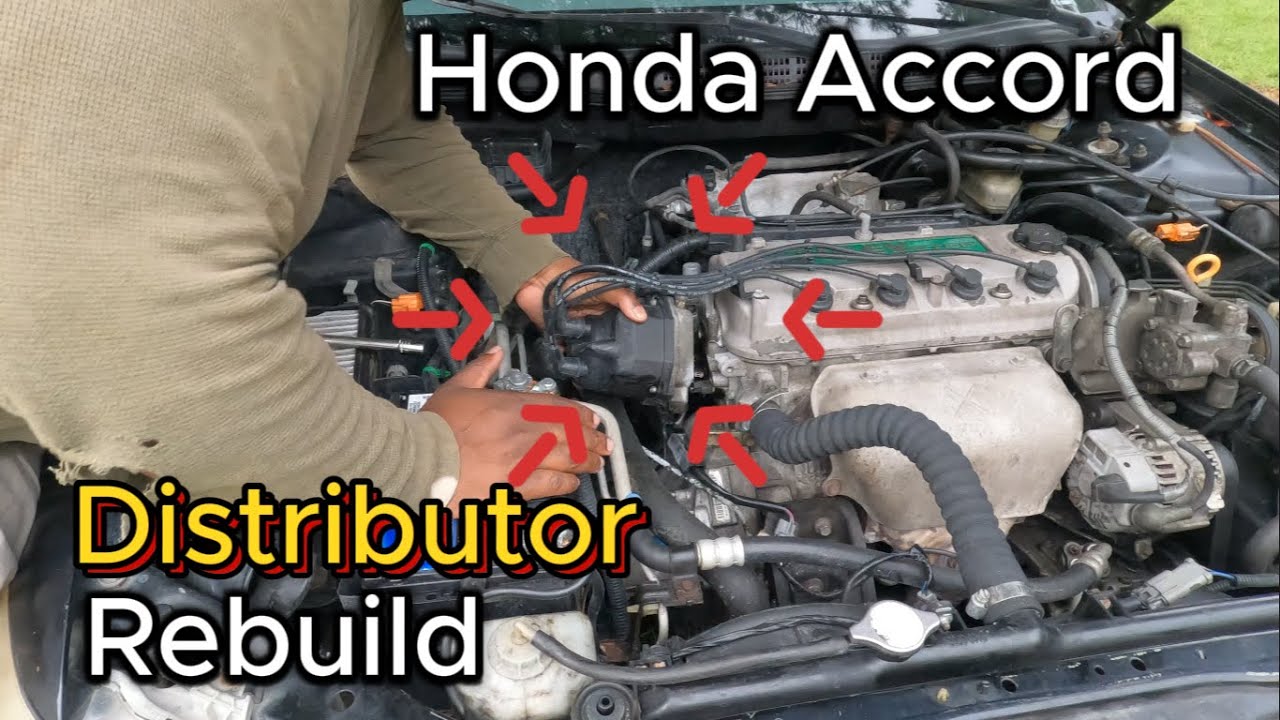 2000 Honda Accord Distributor Oil Seal  #diy #automobile #love #subscribe #watch #youtubeshorts