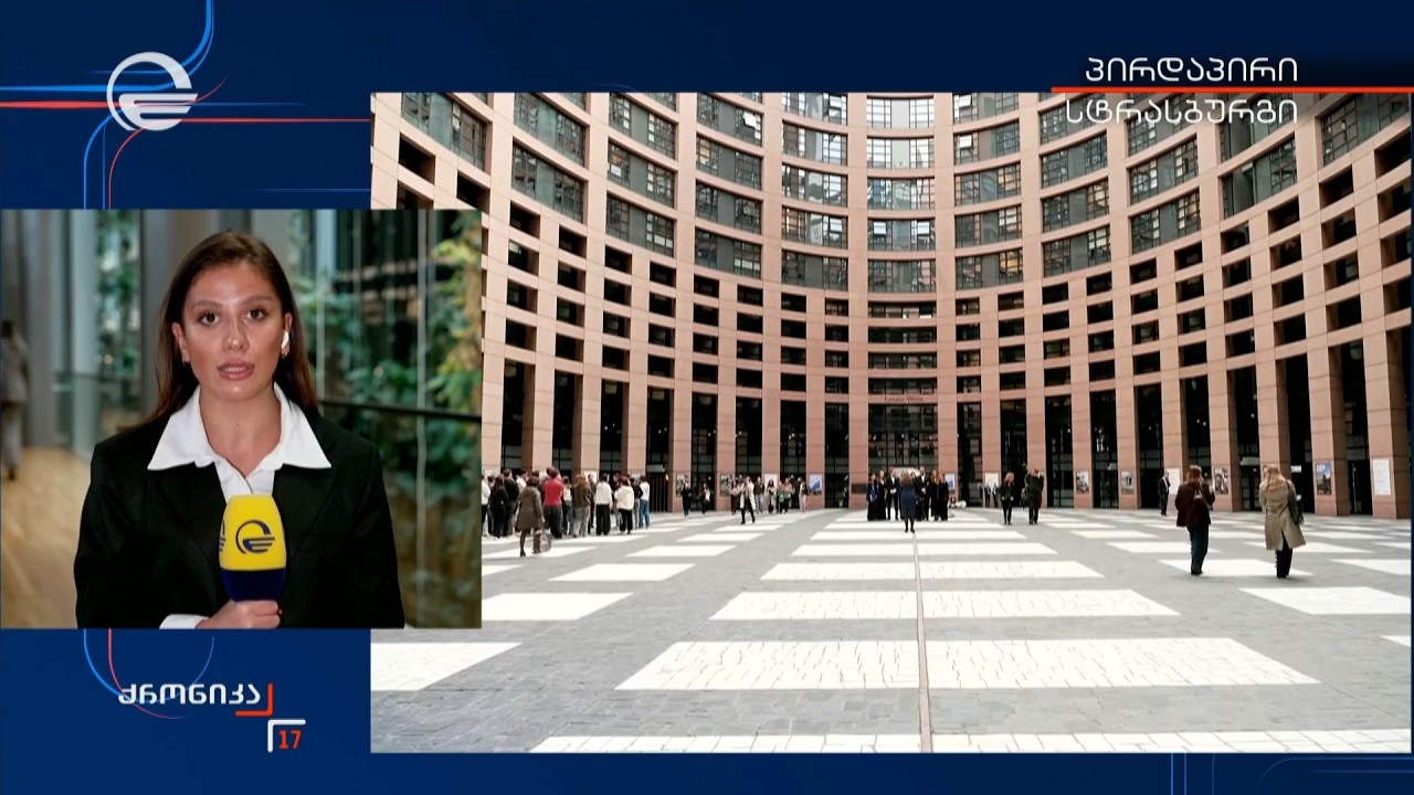 საქართველოს საპარლამენტო დელეგაცია ევროპარლამენტში შეხვედრებს მართავს