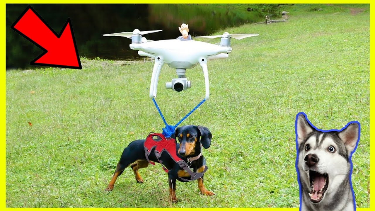 ✅Это 10 самых мощных дронов на Aliexpress