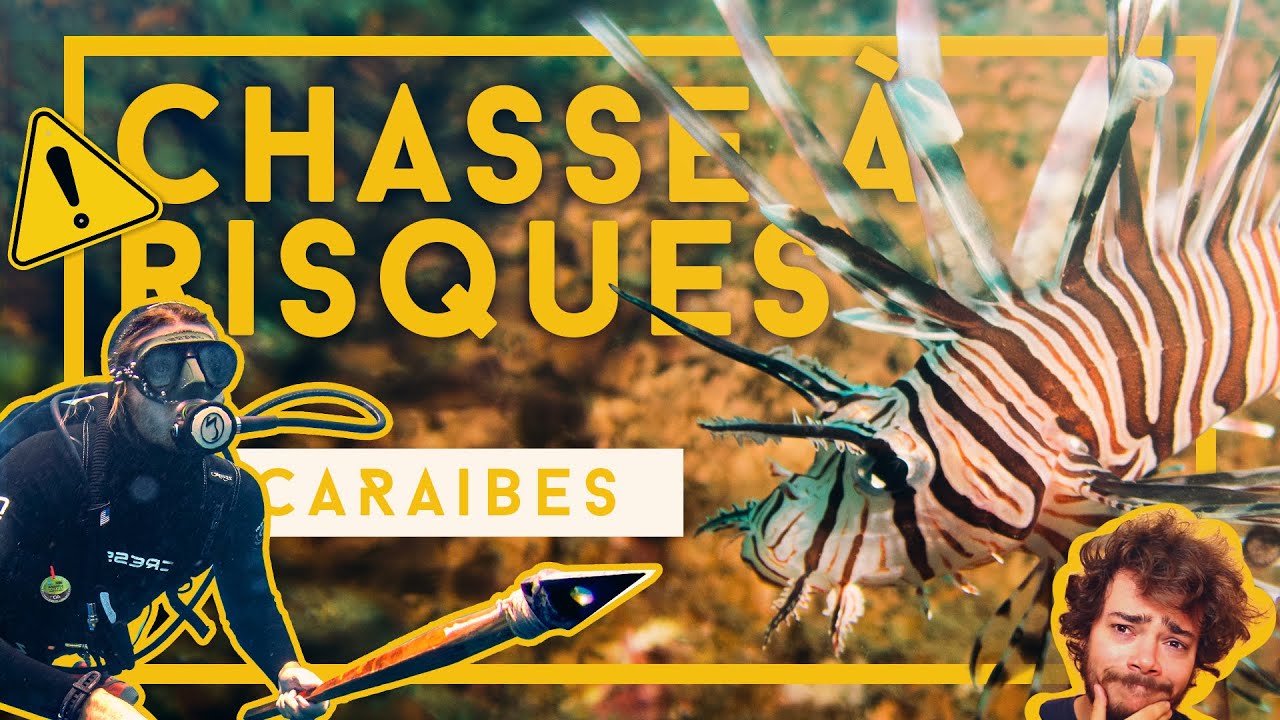 Chasse sous-marine DANGEREUSE AUX CARAÏBES ⚠️ plonger avec Melvak !