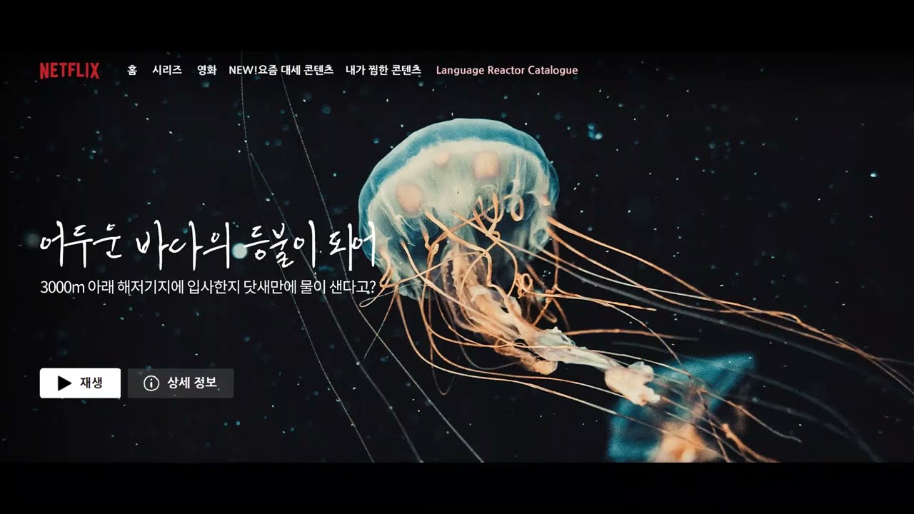 어두운 바다의 등불이 되어 asmr