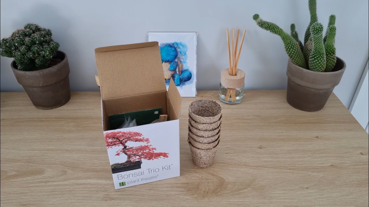 Planting and growing Bonsai Tree Part 1 - Bonsai Trio Kit