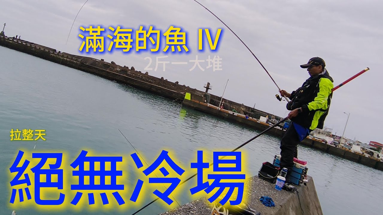 (釣魚)2025  滿海的魚IV 拉整天 絕無冷場  新北市 三芝  石門 金山 北海岸 磯釣 淺水灣  海釣 釣魚 漁港 路邊磯 大咬 #fishing #fishingvideo