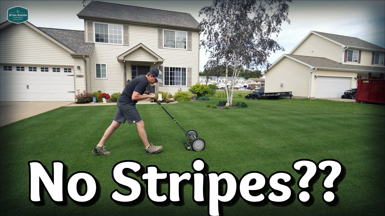 No More STRIPES?? + Property Update