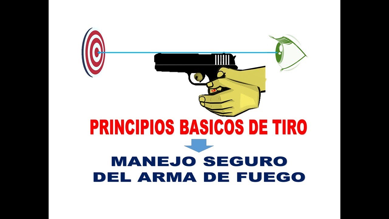 PRINCIPIOS BASICOS DE TIRO, SEGURIDAD PRIVADA