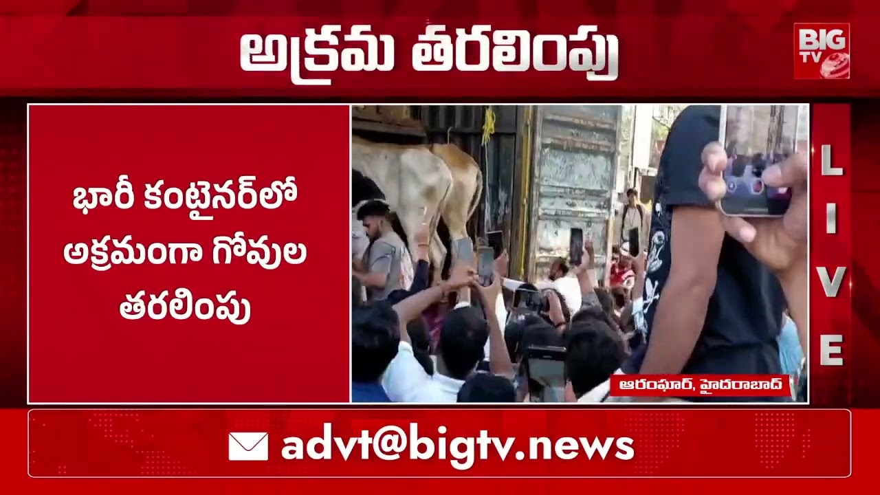 భారీ కంటైనర్ లో అక్రమంగా గోవుల తరలింపు | Illegal transportation of cows in Hyderabad