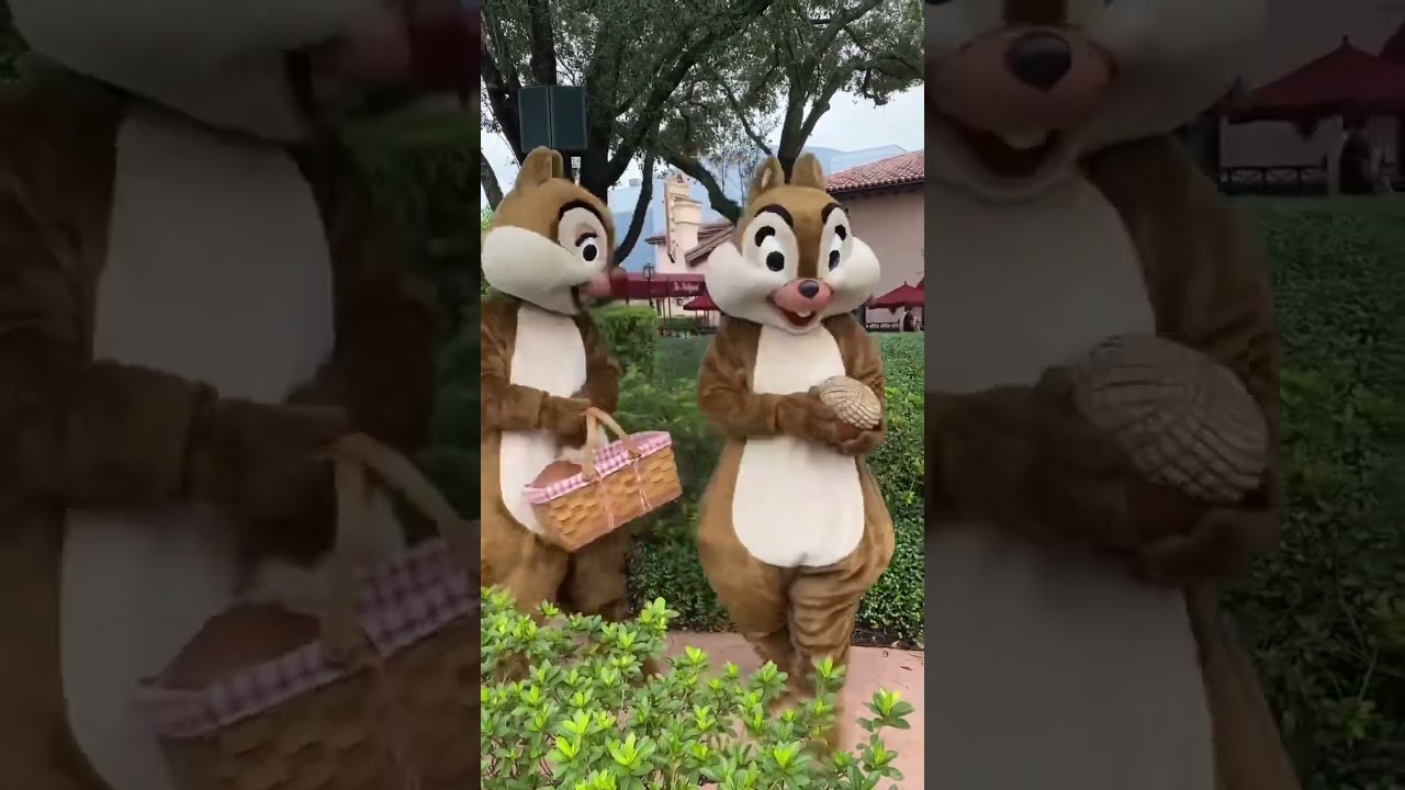 How do you like meeting characters at Disney?