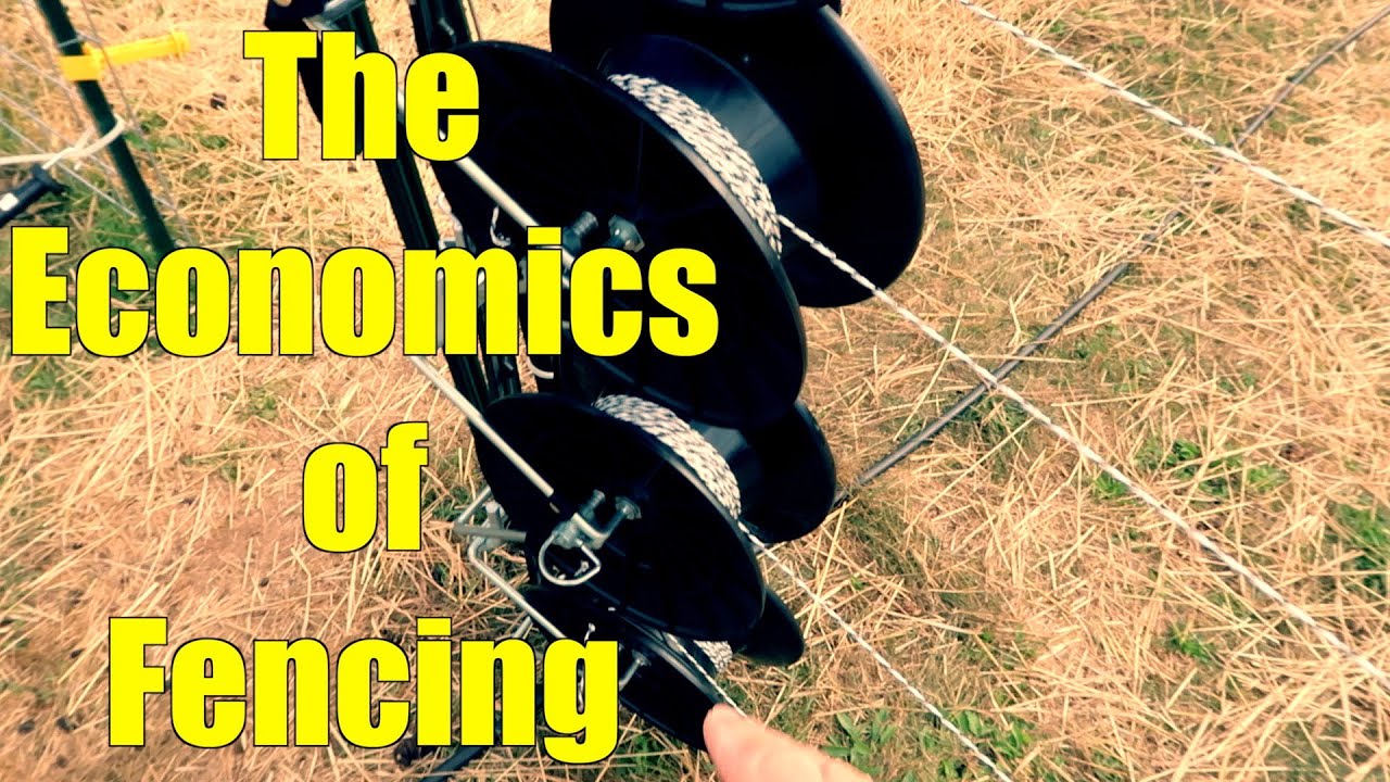The Economics of Fencing