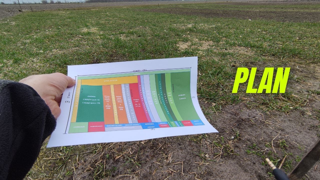 Warzywnikowy plan, czyli ile miejsca przeznaczam pod warzywa