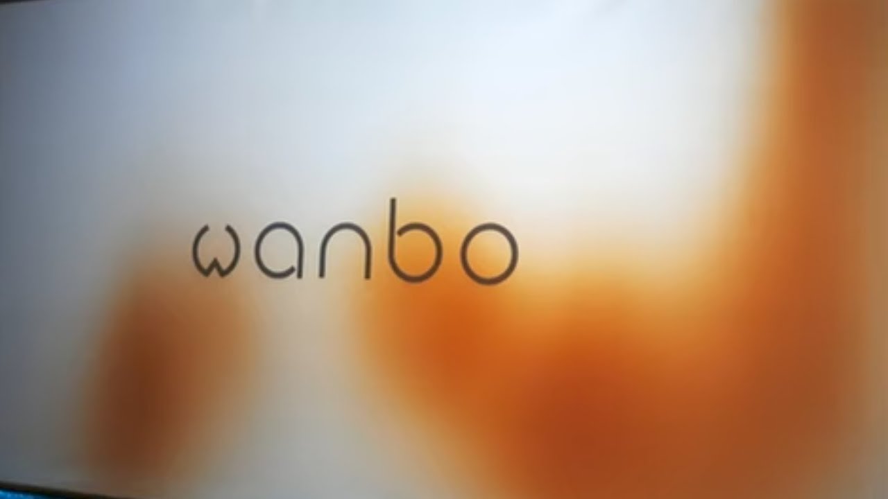 WANBO T6 MAX PROJECT POLARIZER FILM BURNT