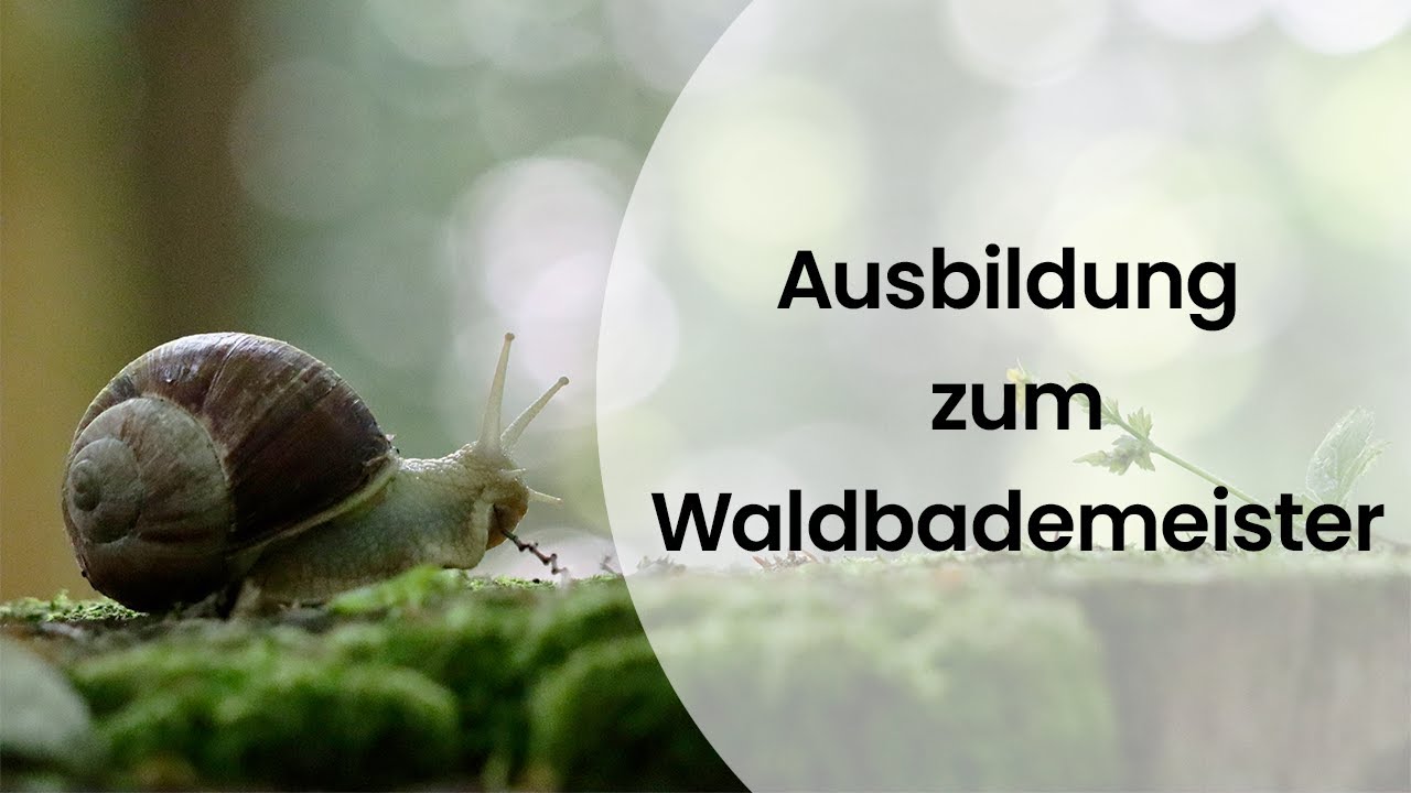 Die Waldbaden-Ausbildung an der Gutshof Akademie