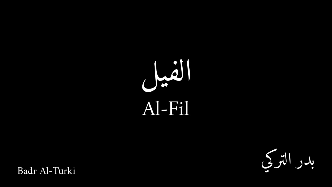 105 Al Fil Badr Al Turki   الفيل بدر التركي