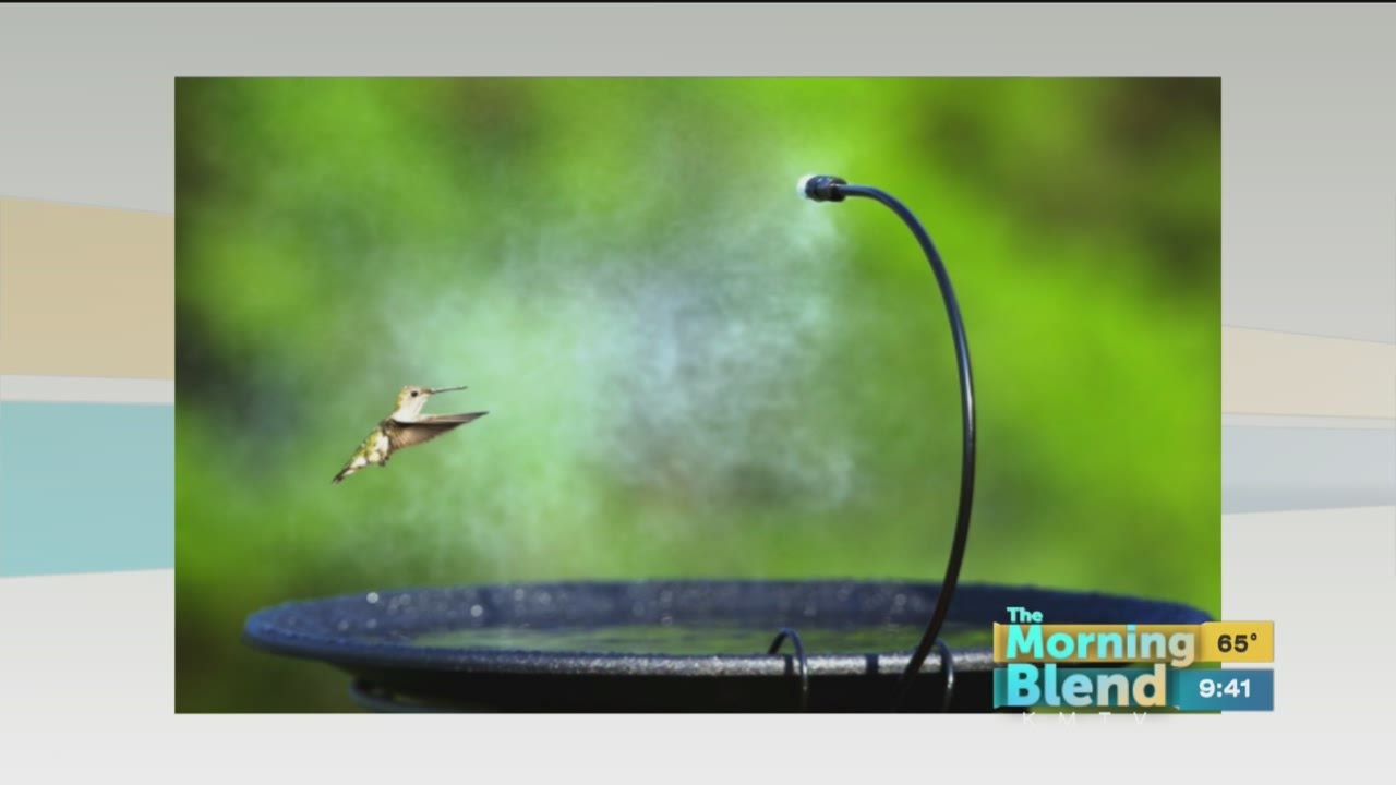 Wild Birds Unlimited