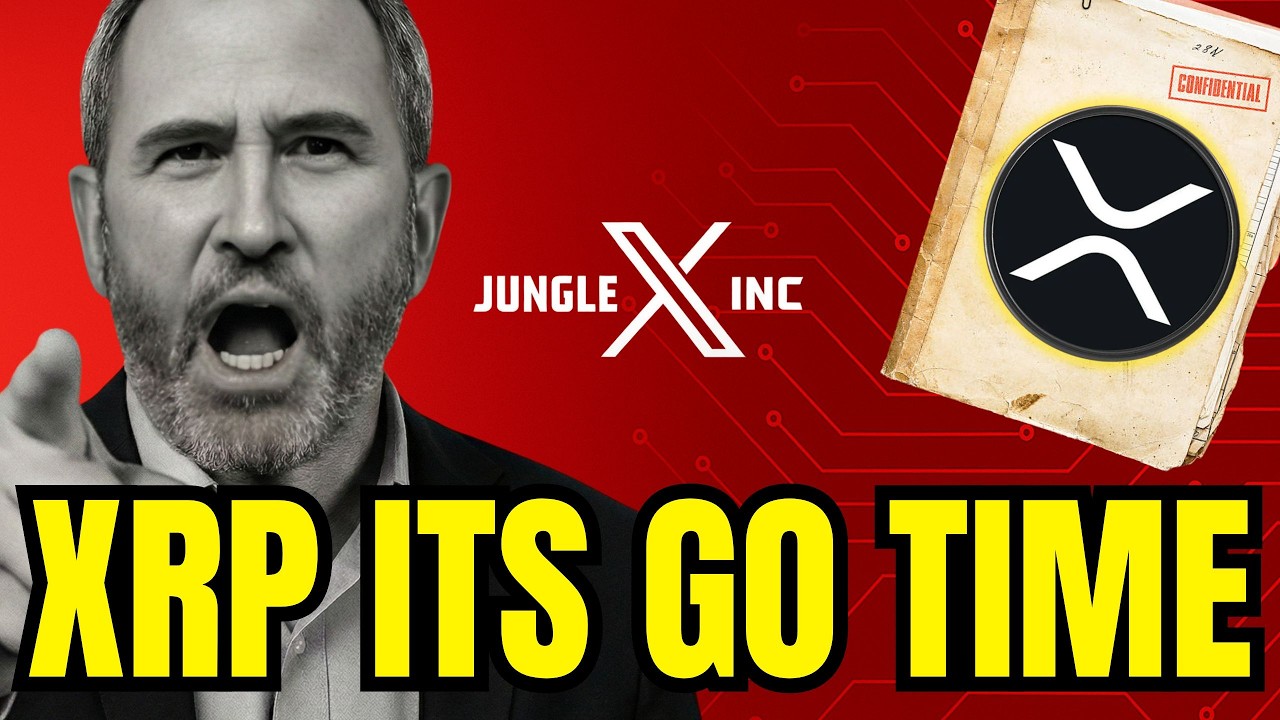 🚨 Ripple XRP: Brad Garlinghouse Drops The Details - Adoption Confirmed