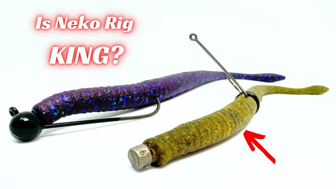 Does A Neko Rig Outperform A Shaky Head?
