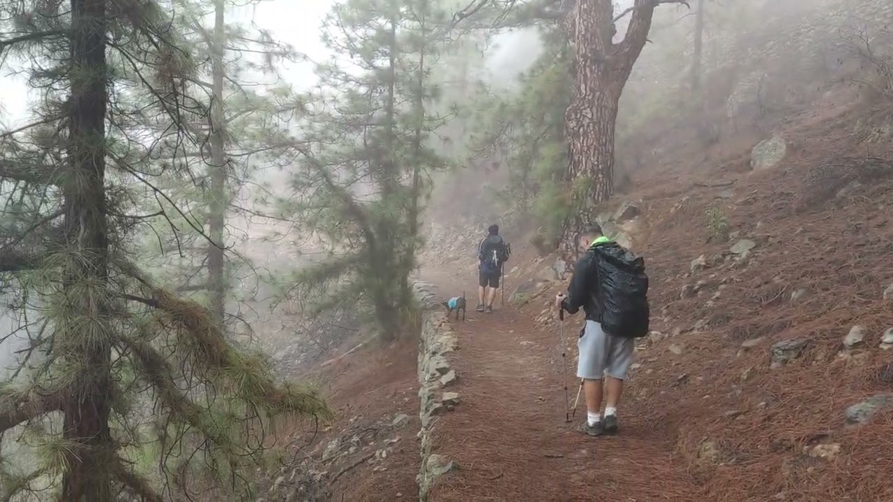 ✅ 🌲Hiking🥾 with a lot of fog in 'Las Vegas