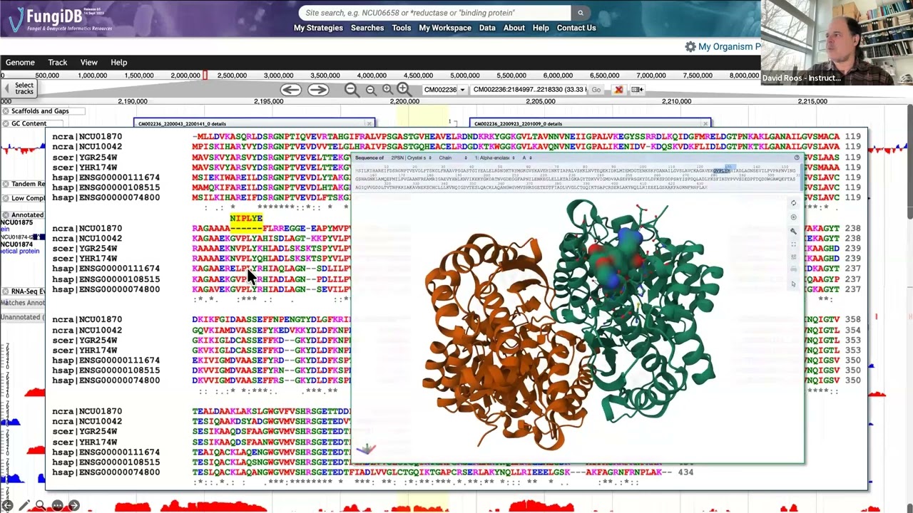 Exploring Gene Models Introduction