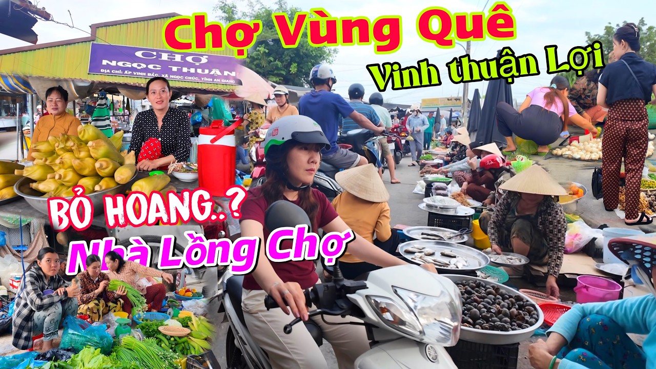 MỘT VÙNG QUÊ NHỎ XÃ NGỌC CHÚC TỈNH AN GIANG - GÌ SAO CÓ TÊN GOI LÀ VINH THUẬN LỢI..?