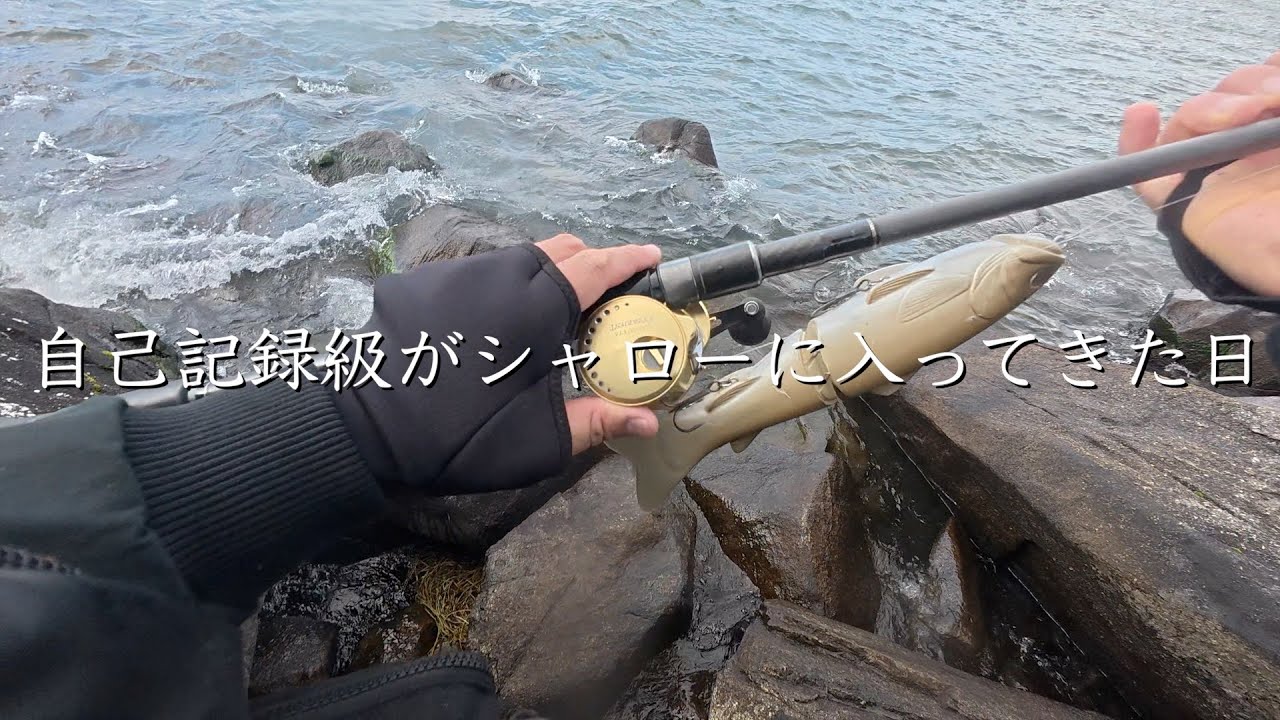 【爆風の連休最終日】1月の琵琶湖陸っぱりで『狙う釣り』と『拾う釣り』を展開して獲りに行った【deps】【スライドスイマー250】