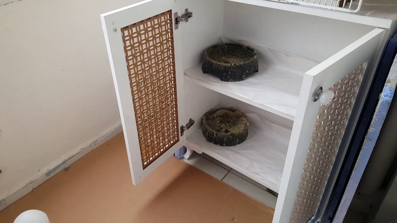 Balkonun Son Durumu