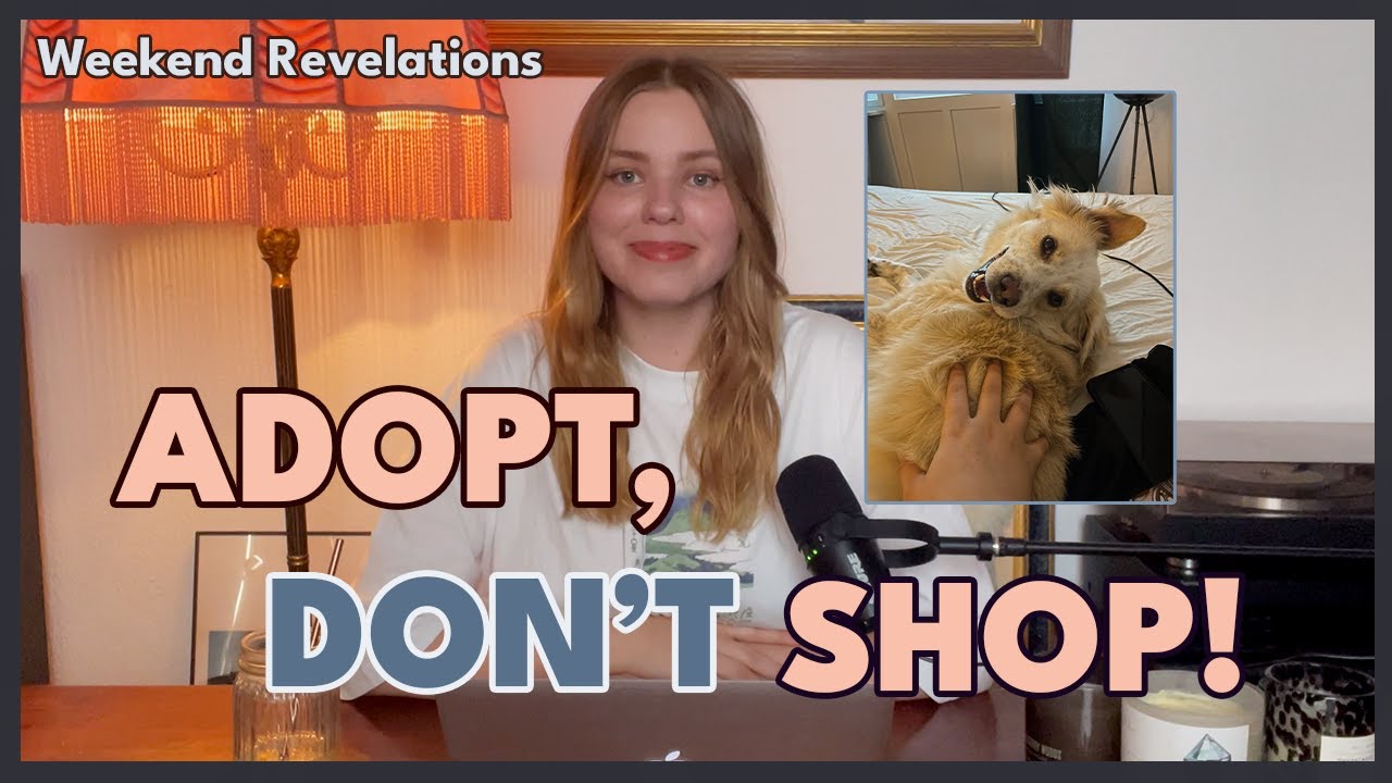 Hund adoptieren: Was du vorher wissen solltest | Weekend Revelations