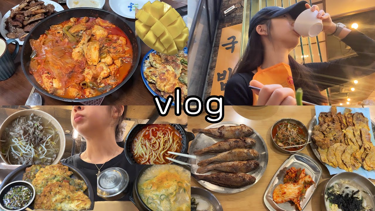 vlog | 설날기간 돼지파티🐷| 육전+굴비+떡국 | 국밥+녹두전+파전 | 엄마집밥모음❤️ | 사위사랑은 장모..? | 역시 해장은 쌀국수 