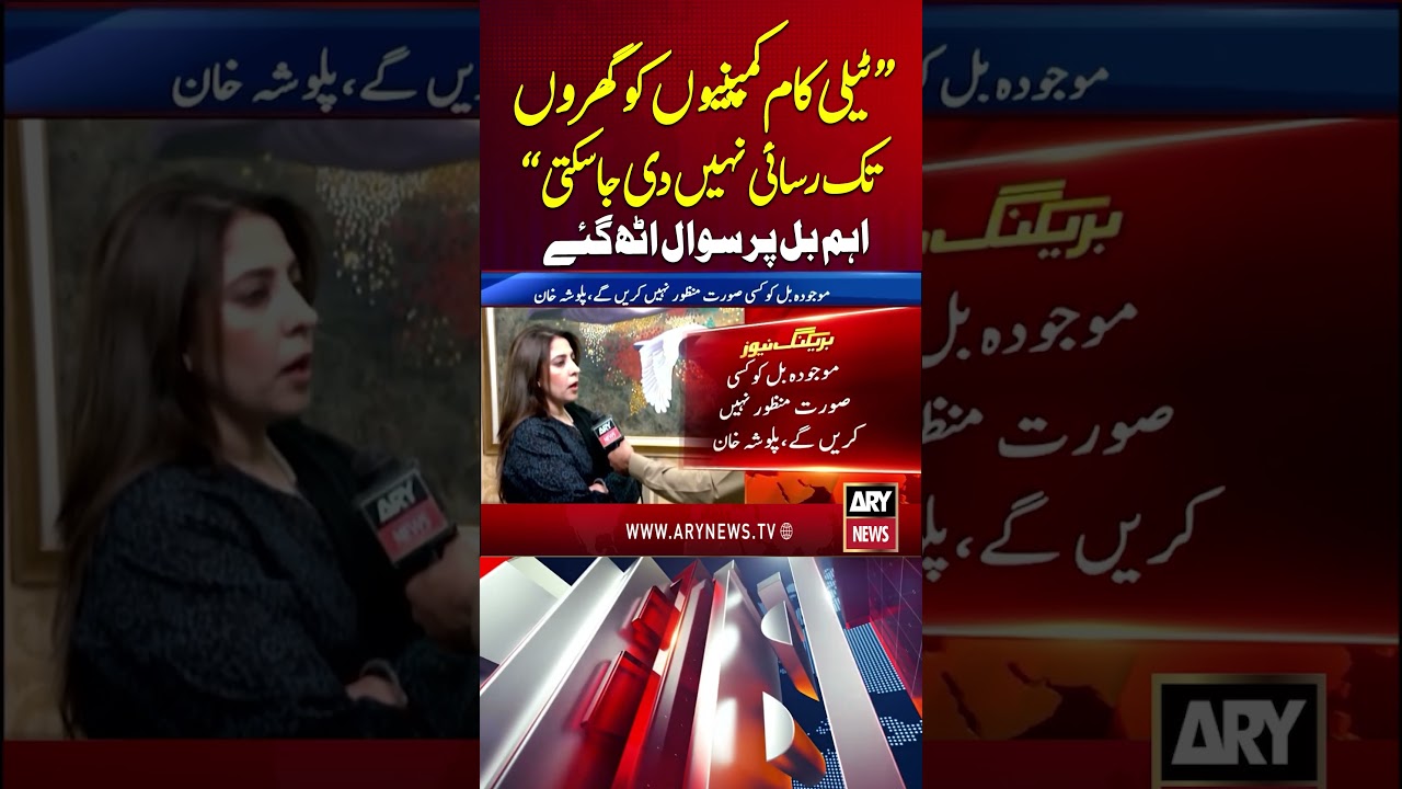 #PalwashaKhan #Telecom #Fiberization #ConsumerRights #BreakingNews #Technology #shorts #arynews