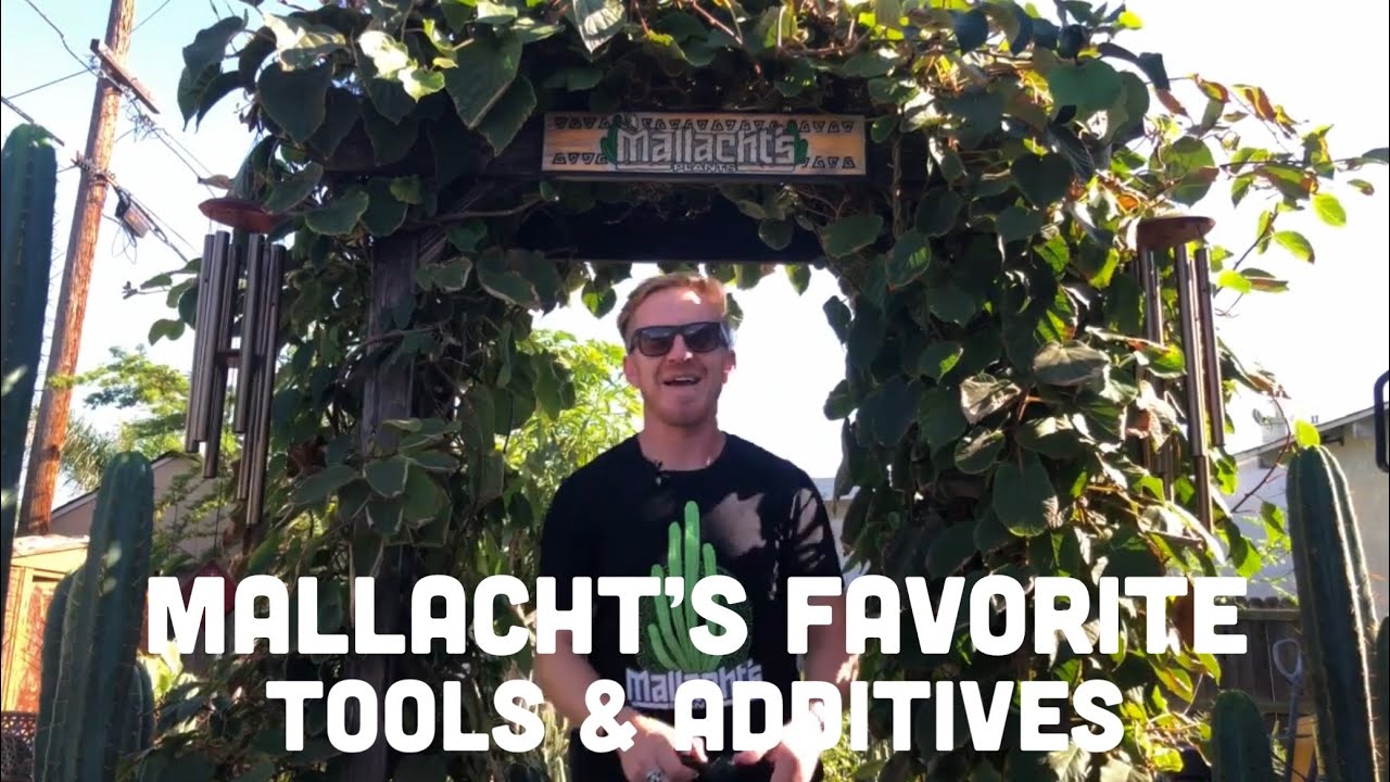 The BEST Tools and Additives to Use as a Cactus Grower l Mallacht&rsquo;s Plants