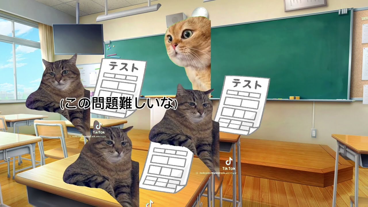 【猫ミーム】ある日の学校
