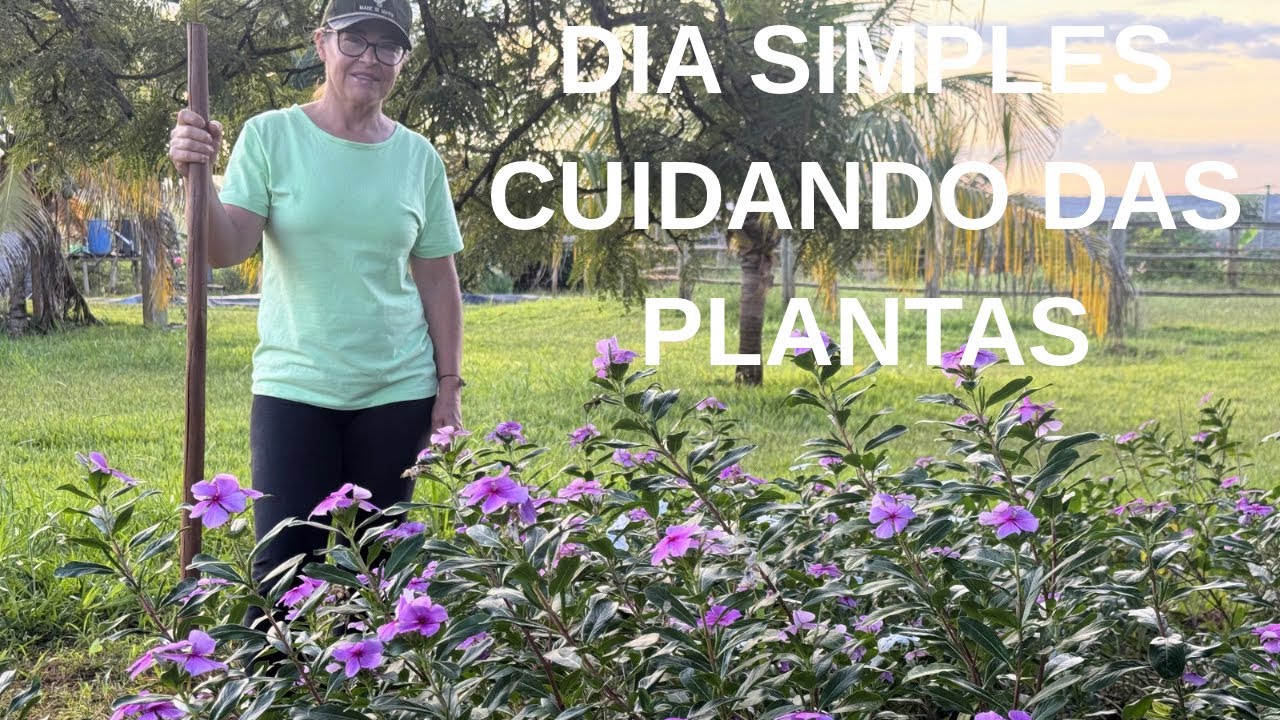 Cuidando das flores 🌺 na roça, tratando das galinhas 🐓 surpresa com os pássaros e seus filhotes 🐦‍⬛
