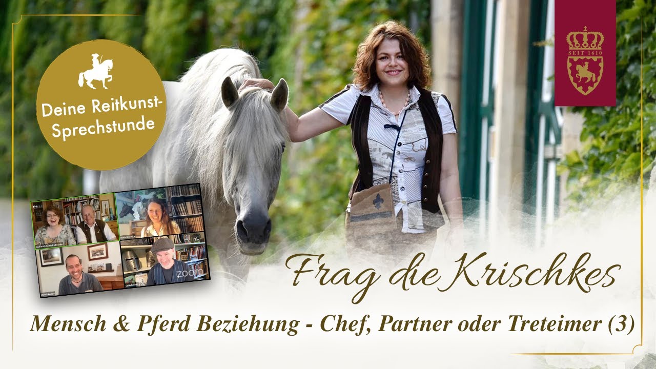 Teil 3: Mensch & Pferd Beziehung -Chef, Partner oder Treteimer -Frag die Krischkes mit Marc Lubetzki