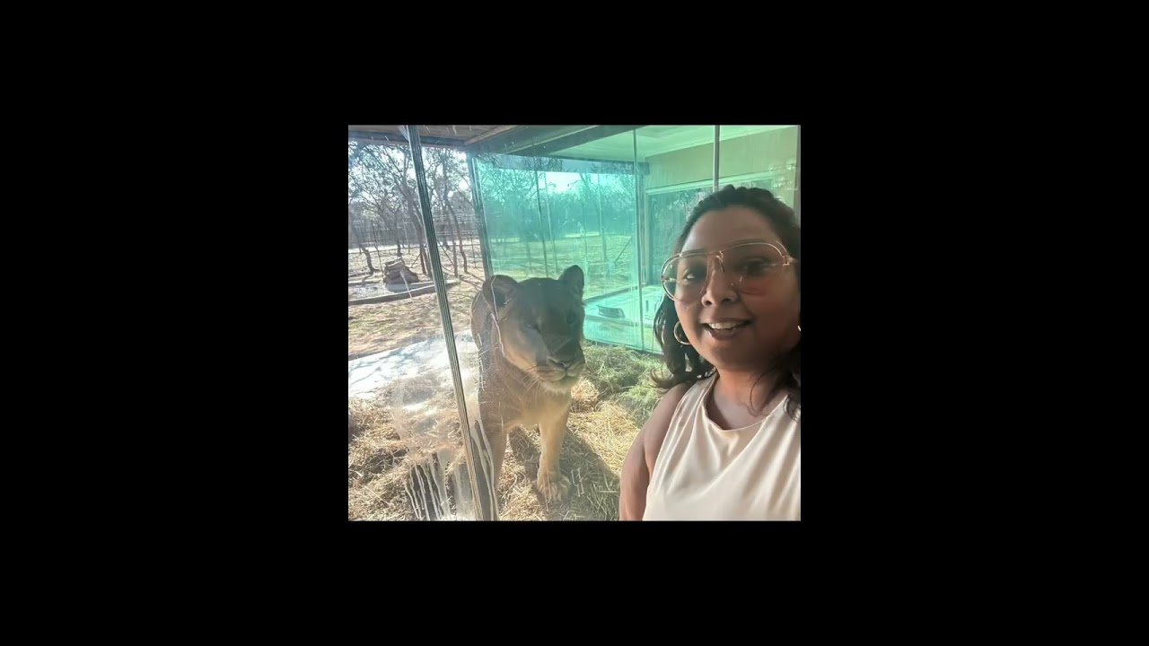 Shekinah lion lodge