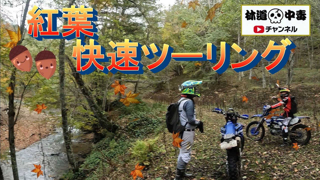 紅葉狩り　快速ツーリング