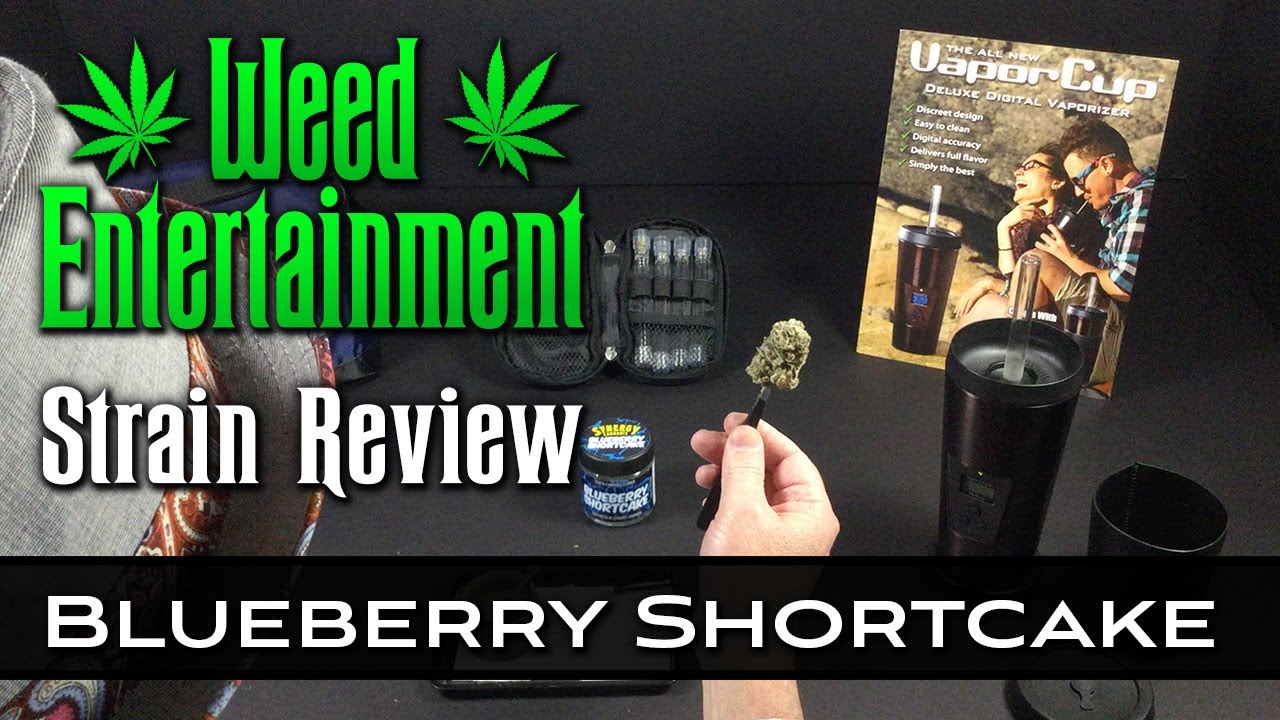 Blueberry Shortcake - Indica Hybrid - Synergy Cannabis - Strain Review - Dr Greenthumbs, Sylmar, Ca