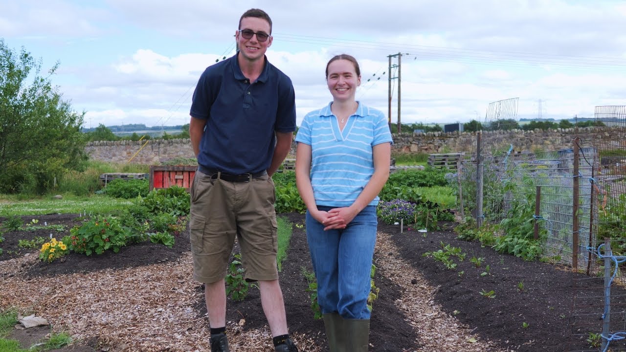 Inside Monkton Gardens: East Lothian’s Family-Run Market Garden
