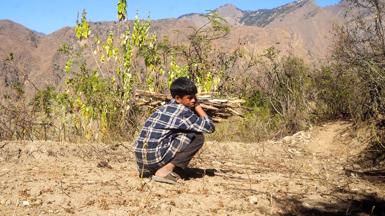 village Life of Nepal @junglefamily