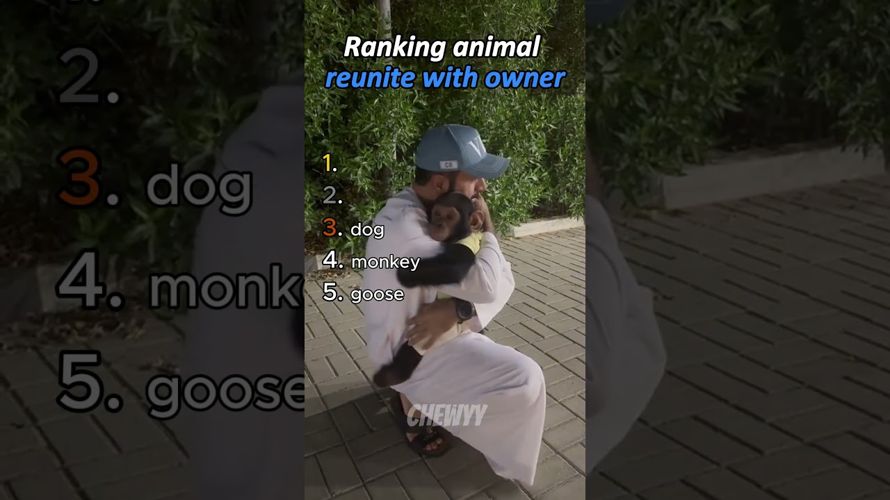 Ranking animals reunite with their owner! 💖