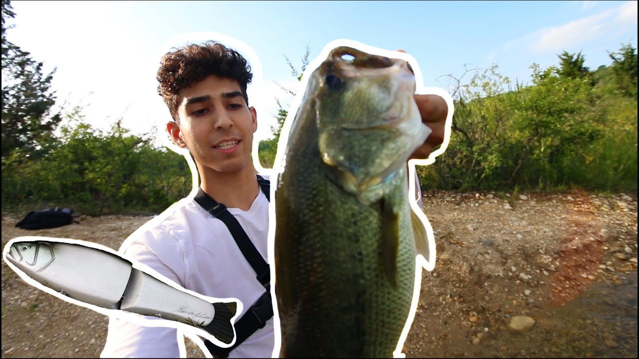 BIG SWIMBAIT FISHING ROMAN MADE Negotiator