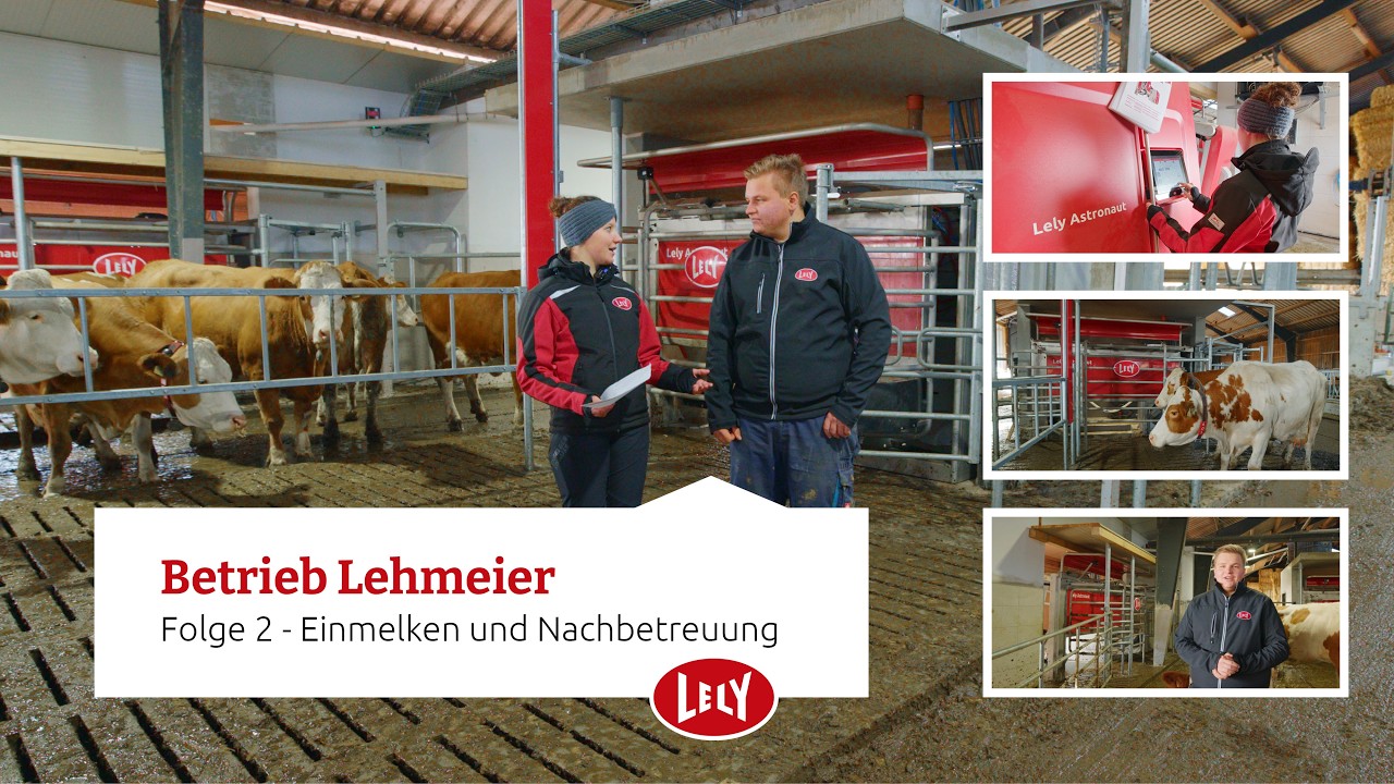 Einmelken und Nachbetreuung mit 2x Lely Astronaut A5 auf dem Betrieb Lehmeier