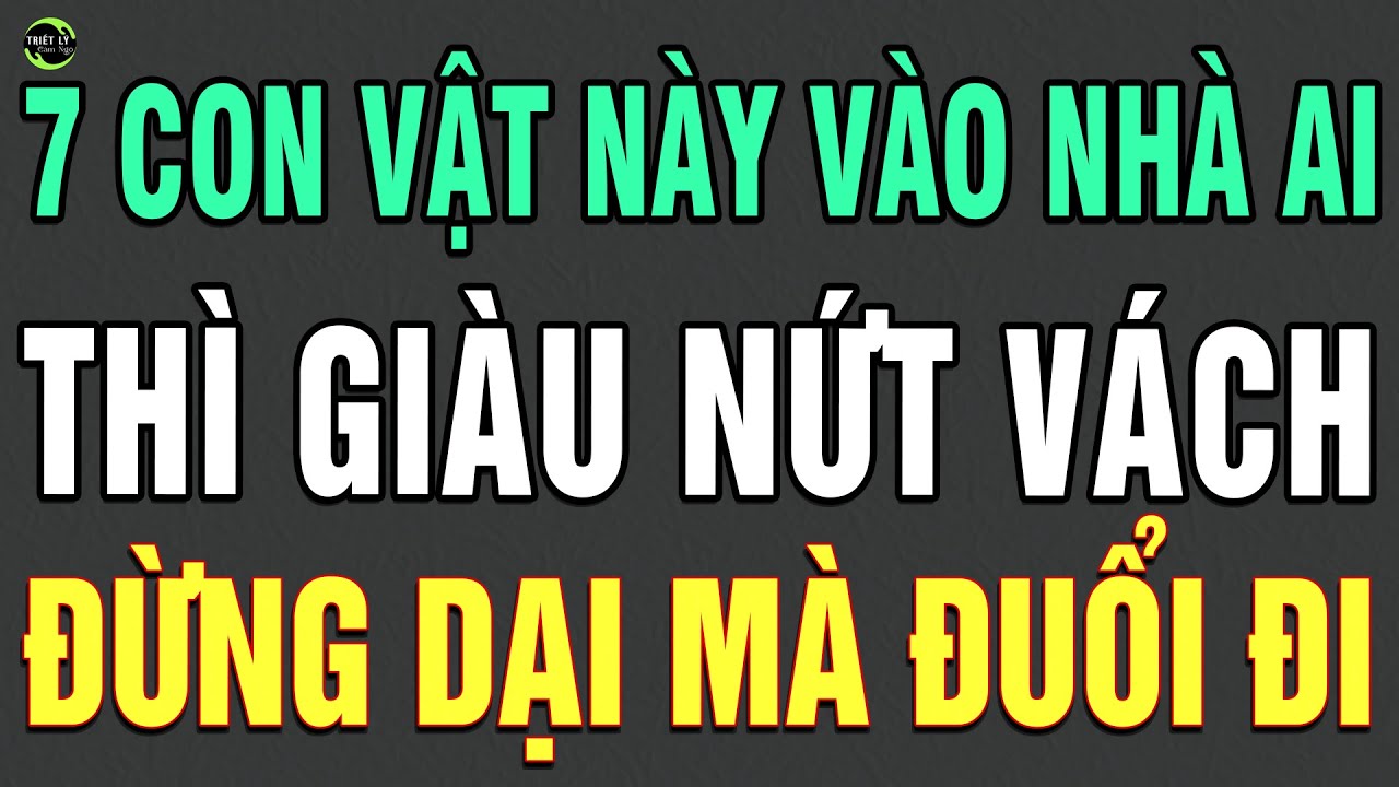 7 Con Vật Này ĐẾN NHÀ AI NHÀ ĐÓ GIÀU NỨT VÁCH - Đừng Dại Mà Đuổi Chúng Đi | TLCN