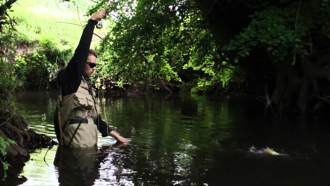 Overgrown II - Fly Fishing for Wild Brown Trout on an English Stream