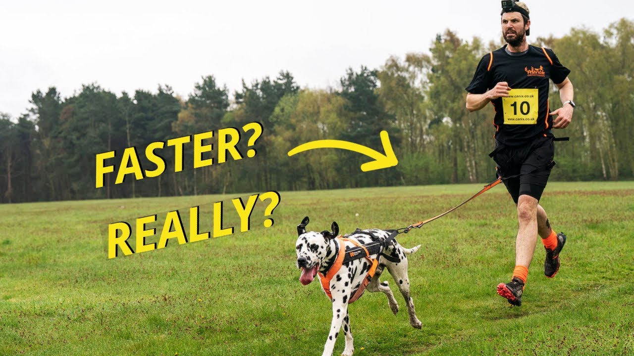 Do you REALLY RUN FASTER with a DOG? Canicross training tips...