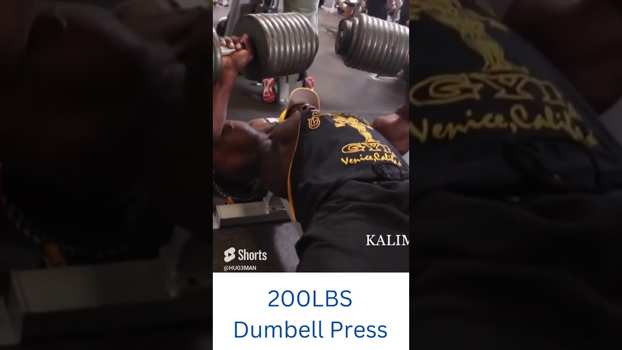 Kali Muscle 200lb DUMBBELL PRESS!! 