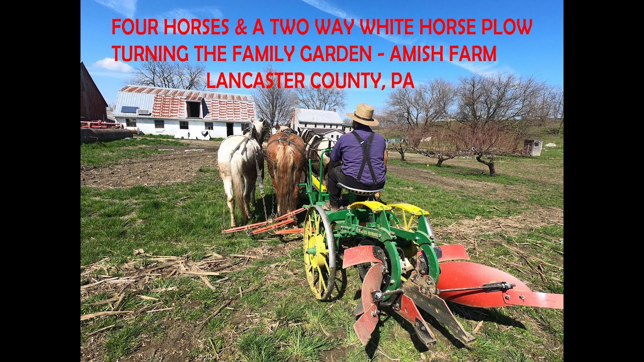 Plowing New Garden on Amish Farm in Lancaster County, Pennsylvania