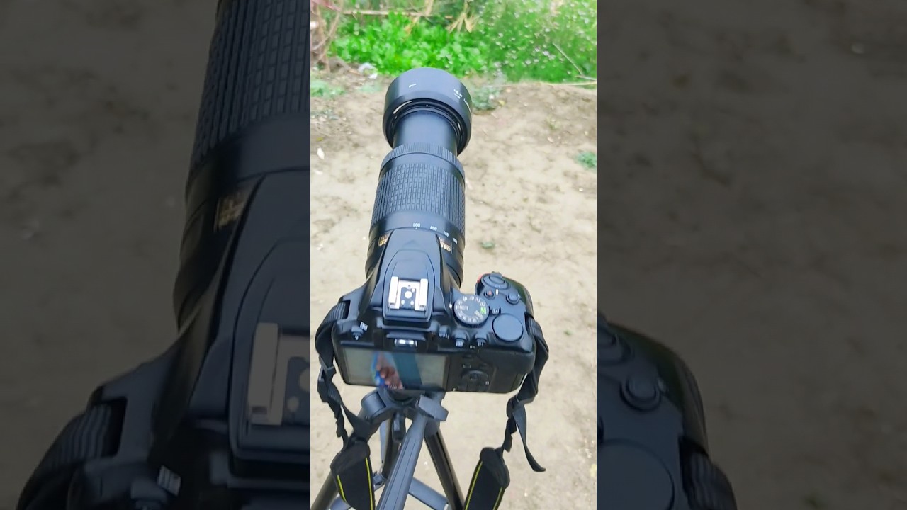 Nikon camera 70-3000mm lens zoom birds photography 