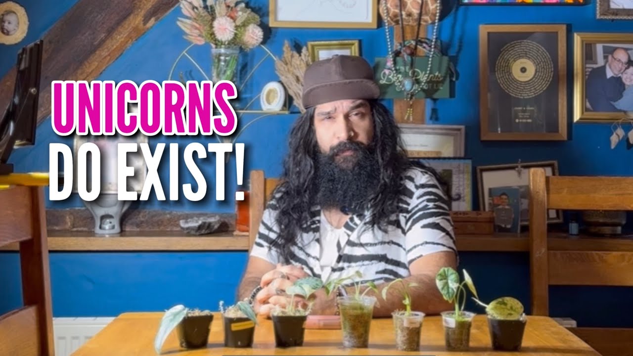 Extremely Rare Plant Haul!