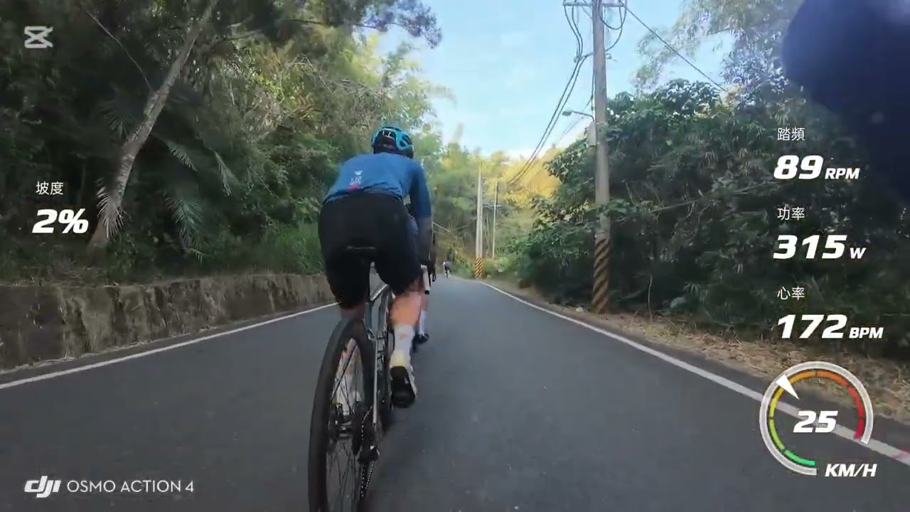 2026美美盃