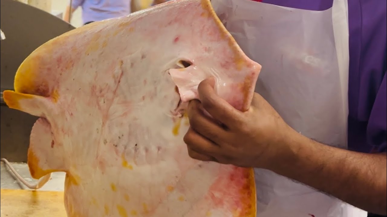 Amazing stingray (pari) fish cutting video 